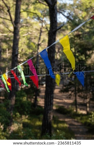 colorful birthday party flags hanging in the forest on the mountain
