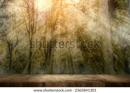 The wooden floor on a haunted forest with sunlight. Scary Halloween background concept