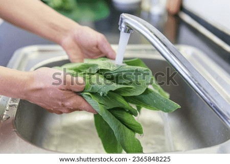 Woman hands washing fresh green bok choy (pak choy) in a kitchen. This type of Chinese cabbage is a popular leaf vegetable. Vegetarian healthy food. Product of organic farming. Royalty-Free Stock Photo #2365848225