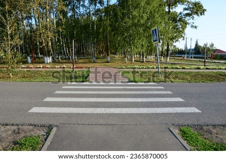 empty pedestrian crossing leading to the public park in sunny day copy space 