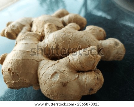 Ginger is good for your digestive system food herb spices condiment picture thsi definition 