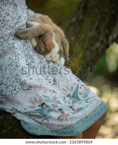cute rabbit sitting in the girl's arms