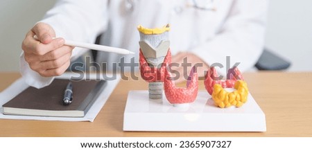 Doctor with human Thyroid anatomy model. Hyperthyroidism, Hypothyroidism, Hashimoto Thyroiditis, Thyroid Tumor and Cancer, Postpartum, Papillary Carcinoma and Health concept Royalty-Free Stock Photo #2365907327