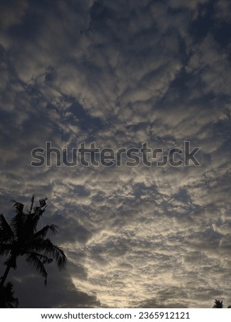
a picture of clouds and coconut trees taken in the morning behind the house