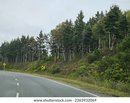 A sharp corner along a highway with trees along the side of it.