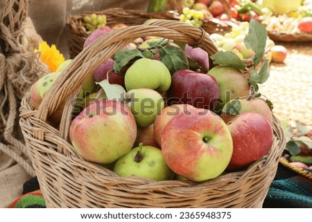 Still life with lots of apples in an old basket, outdoor shot