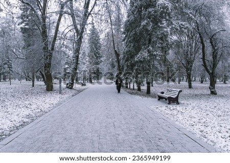 Icy trees in the park after rain and a sudden cold snap. Ice on the branches. A walk in the park in winter.  Frozen trees. Frosty weather in winter. Frozen rainwater. The forest in winter. Royalty-Free Stock Photo #2365949199