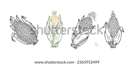 Vector Vegetable Set of Corn Cobs. Corn Outline icons isolated on white background.