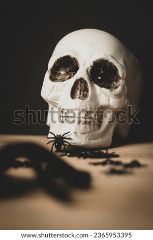 Halloween themed picture. Skull surrounded by spirders on the black background. 