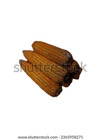 A beautiful picture of CORN 🌽