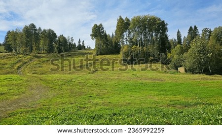 Mountain with bright green grass and forest, sunny forest without people, nature, beautiful view, green hill, landscape, photo
