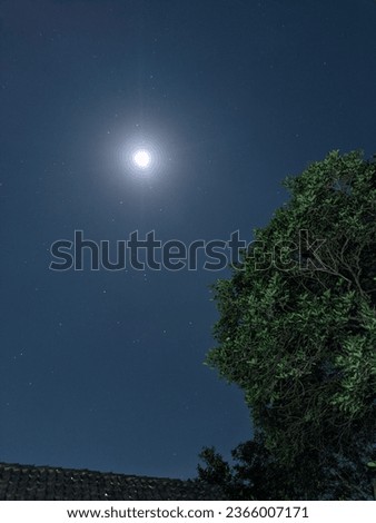 the beautiful moonlight in the sky against the tree