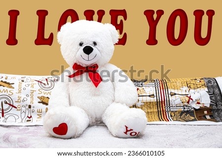 Valentine's Day, white teddy bear with love you text.