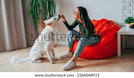 Animal, pet, dog, adoption, shelter, socialized, rescued. Young happy stylish woman plays with her fluffy white dog at home