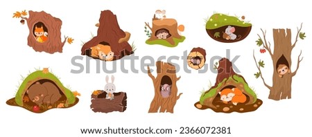 Forest animals inside holes and burrows. Tree burrow and hole in earth. Bear hibernation, mouse, red fox and owl. Deer peeking, nowaday vector set