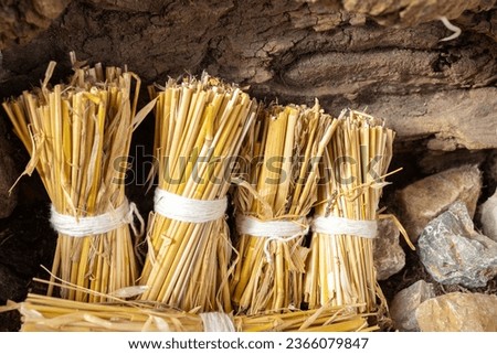 detail of several sheaves of wheat straw as ornament of a nativity scene