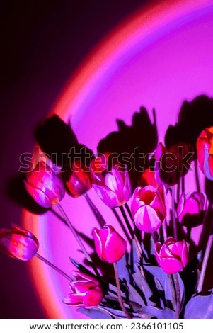 Pink colored tulip flower in neon light on purple gradient background in the night light. Creative dark holiday concept. Copy space greeting card Floral bouquet of fresh flowers. Aesthetic sunset lamp