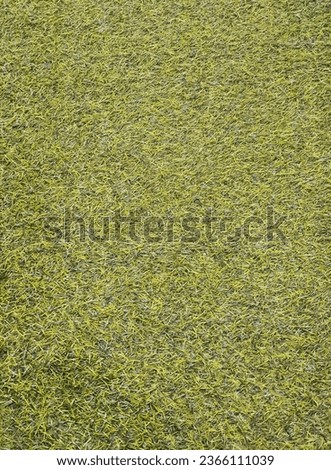 a photography of a man in a field of grass with a frisbee, golf ball on the green grass of a golf course.