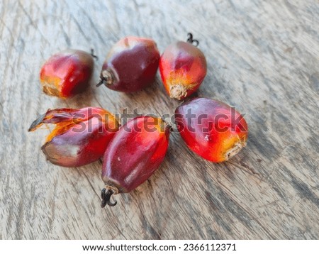 Palm oil nuts texture background. Group of oil palm fruit and cut in half sliced isolated on white background. Top view. Flat lay.