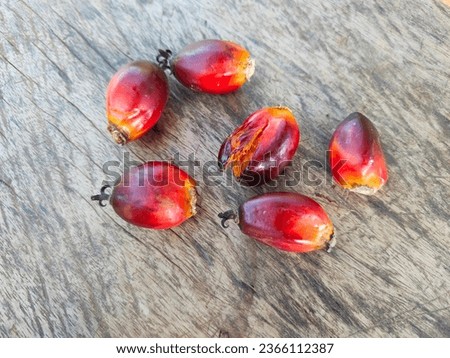 Palm oil nuts texture background. Group of oil palm fruit and cut in half sliced isolated on white background. Top view. Flat lay.