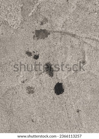 a photography of a dog paw print in the sand, dung beetle tracks in the sand on a beach.