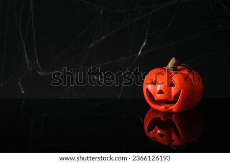Halloween pumpkin with spider on top put on black background with cobweb. Halloween party concept.