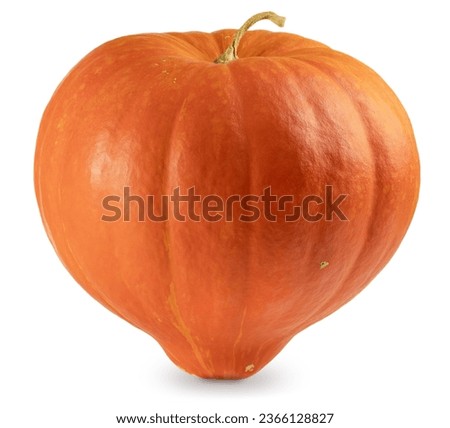 Big sweet orange pumpkin. Symbol of autumn, Halloween, Thanksgiving day and harvest festival. Isolated on white background with soft shadow.