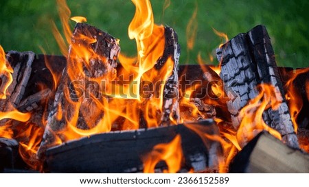 Close-up barbecue and eyebrows, birch coals for barbecue, lawn in background, vignetting
