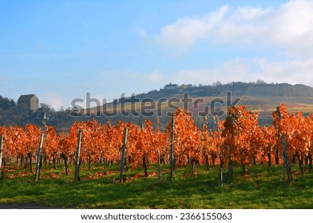 Cleebronn, BW. Cleebronn, Michaelsberg, Cleebronn Castle, wine landscape in autumn Royalty-Free Stock Photo #2366155063