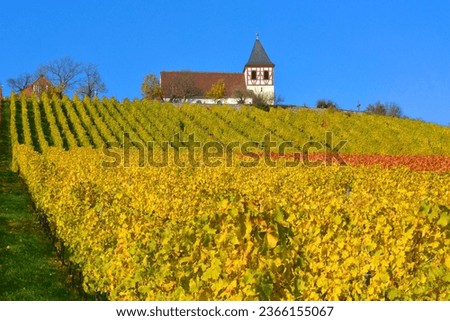 Baden-Württemberg, wine landscape in autumn at Michaelsberg in Tripsdrill with chapel, Cleebronn Royalty-Free Stock Photo #2366155067