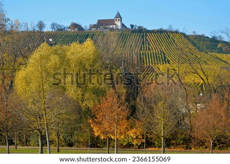 Baden-Württemberg, wine landscape in autumn at Michaelsberg in Tripsdrill with chapel, Cleebronn Royalty-Free Stock Photo #2366155069