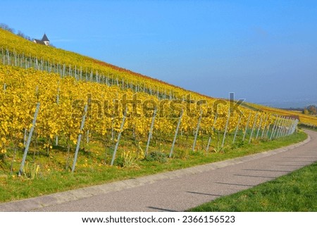 Baden-Württemberg, wine landscape in autumn at Michaelsberg in Tripsdrill with chapel, Cleebronn Royalty-Free Stock Photo #2366156523
