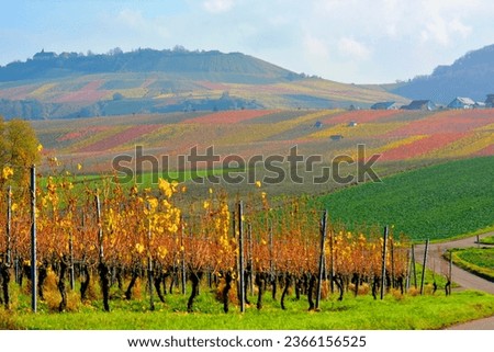 BW. Cleebronn, Michaelsberg, Cleebronn Castle, wine landscape in autumn Royalty-Free Stock Photo #2366156525