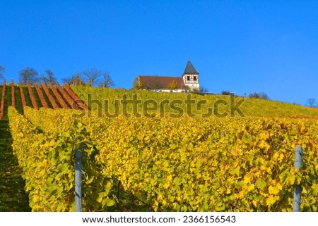 Baden-Württemberg, wine landscape in autumn at Michaelsberg in Tripsdrill with chapel, Cleebronn Royalty-Free Stock Photo #2366156543