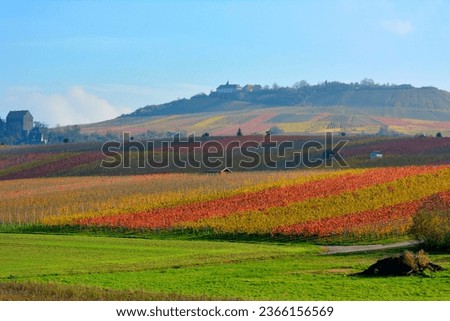 BW. Cleebronn, Michaelsberg, Cleebronn Castle, wine landscape in autumn Royalty-Free Stock Photo #2366156569