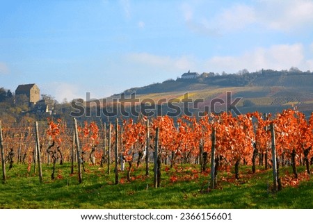 BW. Cleebronn, Michaelsberg, Cleebronn Castle, wine landscape in autumn Royalty-Free Stock Photo #2366156601