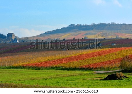 Baden-Württemberg, Cleebronn, Michaelsberg, Cleebronn Castle, wine landscape in autumn Royalty-Free Stock Photo #2366156613