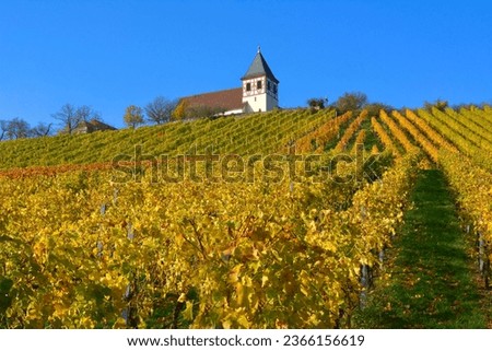 Baden-Württemberg, wine landscape in autumn at Michaelsberg in Tripsdrill with chapel, Cleebronn Royalty-Free Stock Photo #2366156619