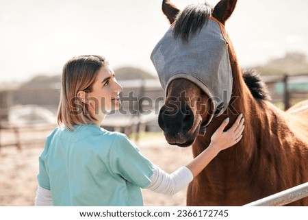 Vet, doctor and woman with horse on ranch for medical examination, research and health check. Healthcare, animal care and happy person on farm for inspection, wellness and veterinary treatment