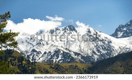 autumn forest at the foot of snowy mountains. autumn in the mountains