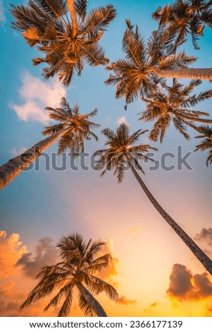 Romantic vibes of tropical palm tree with sun light on sky background. Outdoor sunset exotic foliage, closeup nature landscape. Coconut palm trees and shining sun over bright sky. Summer spring nature Royalty-Free Stock Photo #2366177139
