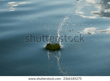 water drops in the sweet lake