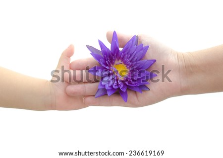 Mother's hand giving lotus to her baby on white background isolated