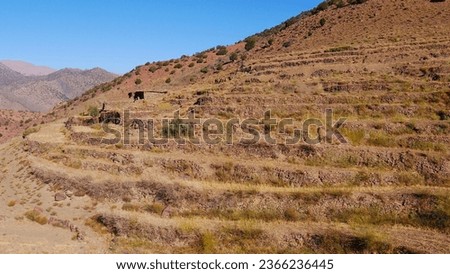 Agricultural field on the side of a rocky mountain, with vegetation, rocks, without industrial products, on the Atlas Morocco ranges, ecological work at altitude, farmers, desert and rocky area