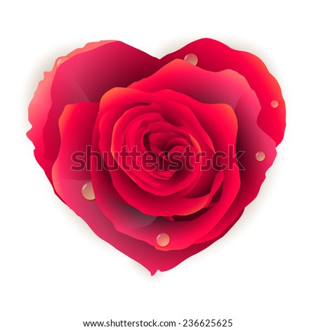 Isolated beautiful red rose-heart on the white background. EPS 10 vector file included