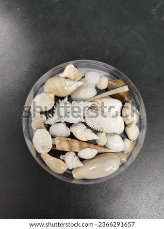 a collection of various types of shells in a cup