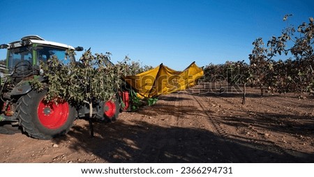 A pistachio harvesting machine at harvest time