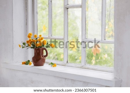 chrysanthemums in  vase on  windowsill in autumn Royalty-Free Stock Photo #2366307501