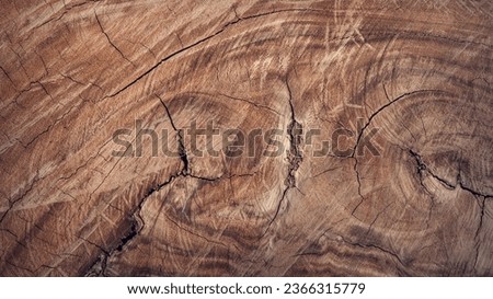 Wooden surfaces with natural wood grain patterns. Wallpaper, wood surface, texture design.