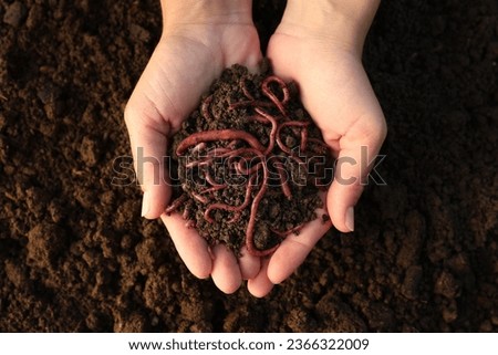 Woman holding soil with earthworms above ground, top view